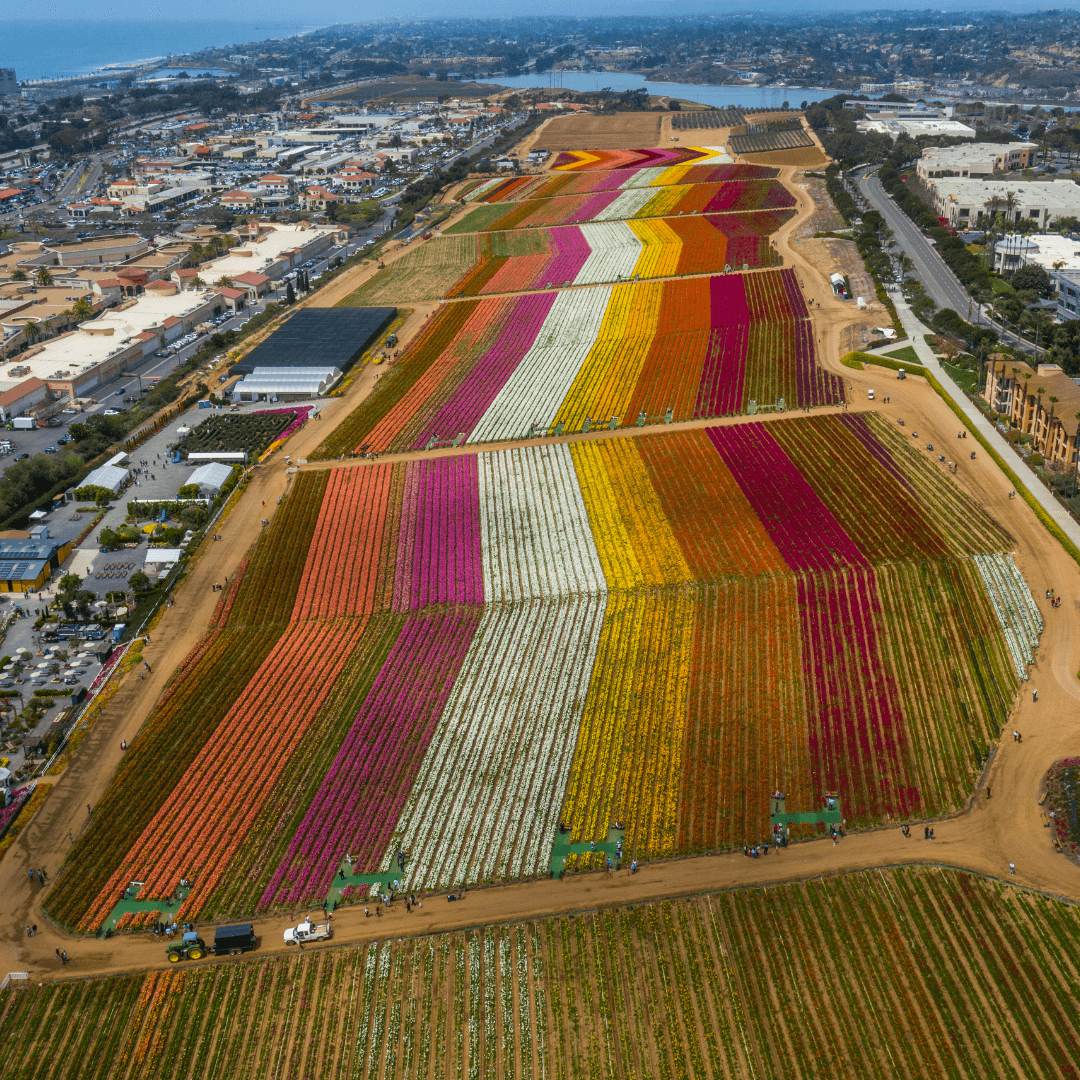 Precision Farming Optimization